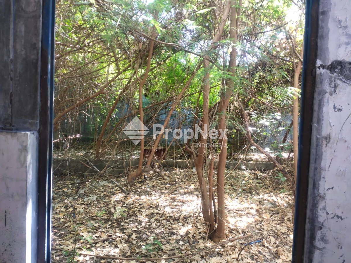 Tambak Sawah — foto 8